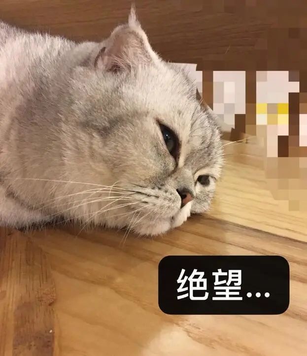家长崩溃了我就退出家长群怎么了东莞也有家长退群结果