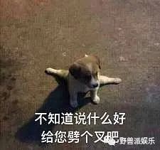 张雨绮小8岁男友李柄熹主演古装偶像剧，颜值却遭到了网友群嘲山东考试信息网平台