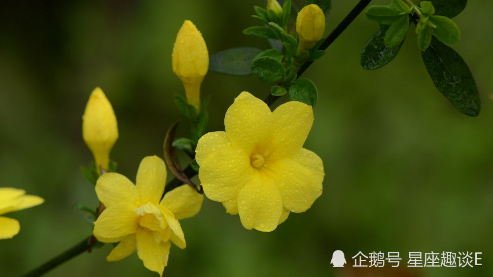 11月3日星座运势 注重细节 节节攀升的四大星座 腾讯新闻