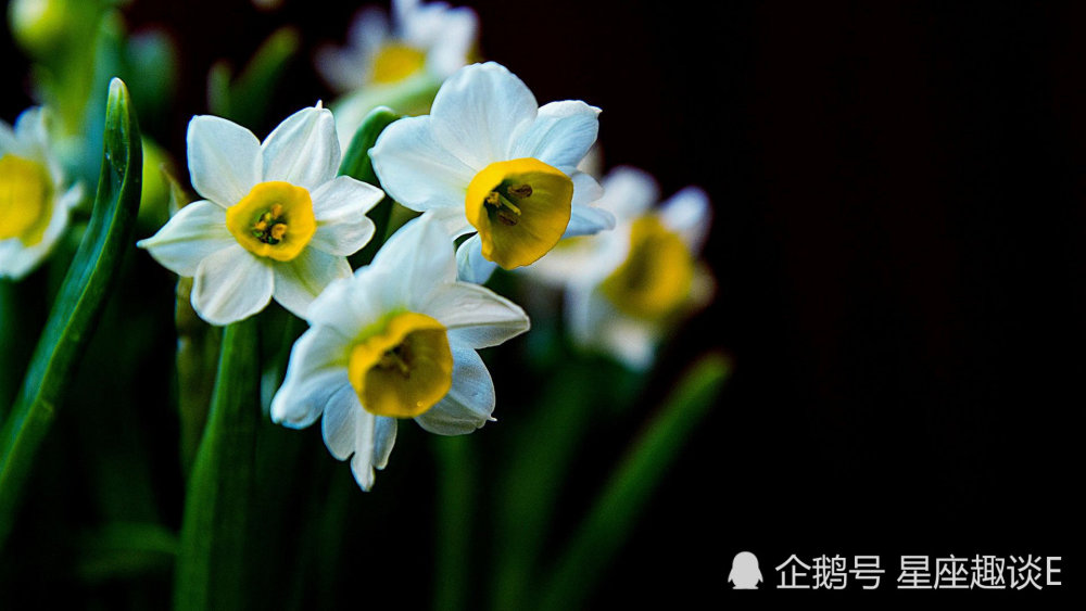 11月3日星座运势 注重细节 节节攀升的四大星座 腾讯新闻