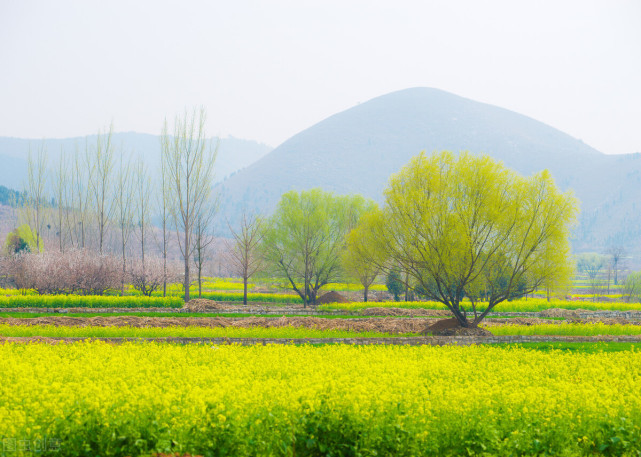 宿州的一个小县城被誉为徐州后花园境内还有国家森林公园