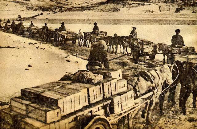 双方打了十天,联合国军败退清川江以