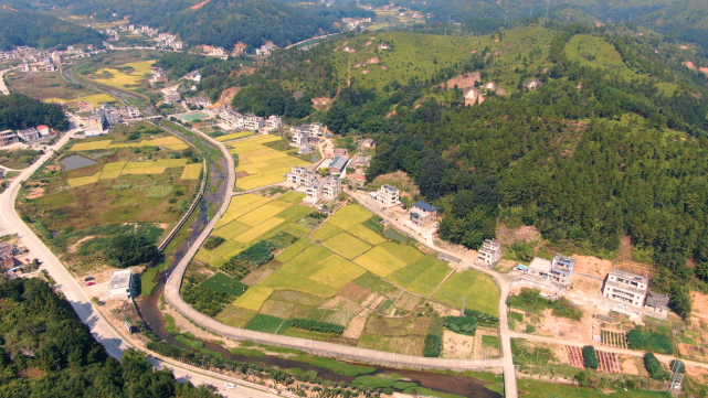 山环水绕的桂山村.