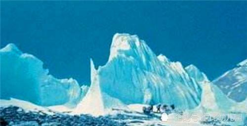 利夫·库尔曼|一棵见证人类起源的“长寿树”，活了9500年，如今依然在生长