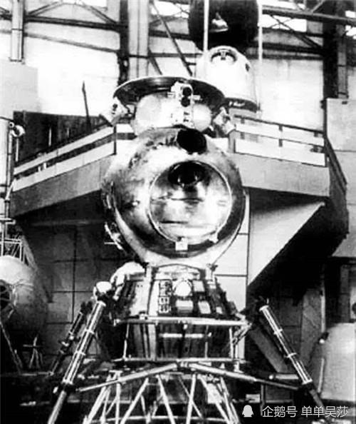 莱伊卡|63年前，苏联将一只狗送上太空，为何飞行仅4天，就被执行安乐死