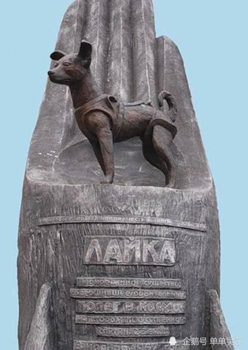 莱伊卡|63年前，苏联将一只狗送上太空，为何飞行仅4天，就被执行安乐死