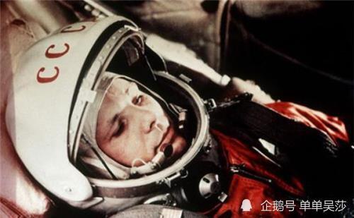 莱伊卡|63年前，苏联将一只狗送上太空，为何飞行仅4天，就被执行安乐死