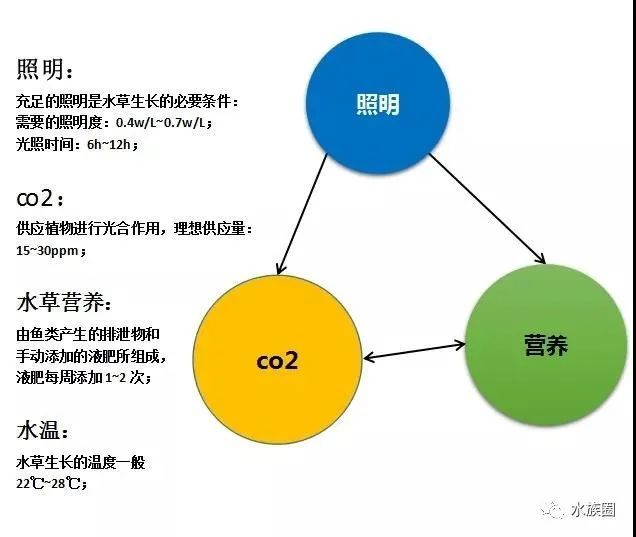 这么做可以彻底杜绝爆藻危机 爆藻