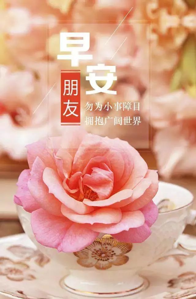 最新早安励志经典语录 早安励志语录正能量