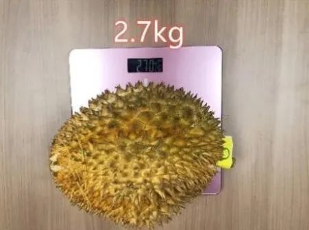 嗅觉|榴莲闻着臭吃着香，是因为我们的嗅觉分为鼻前嗅觉和鼻后嗅觉