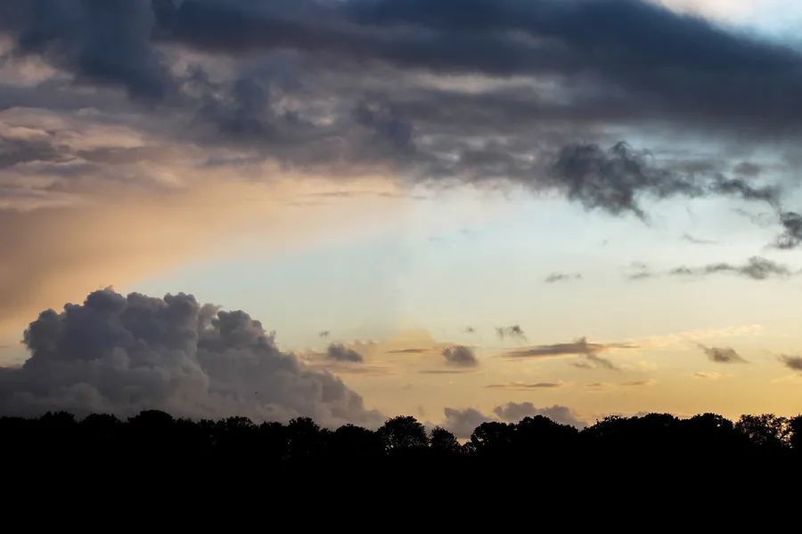 陶渊明|10副修身对联：心安由自足，身贵为无求