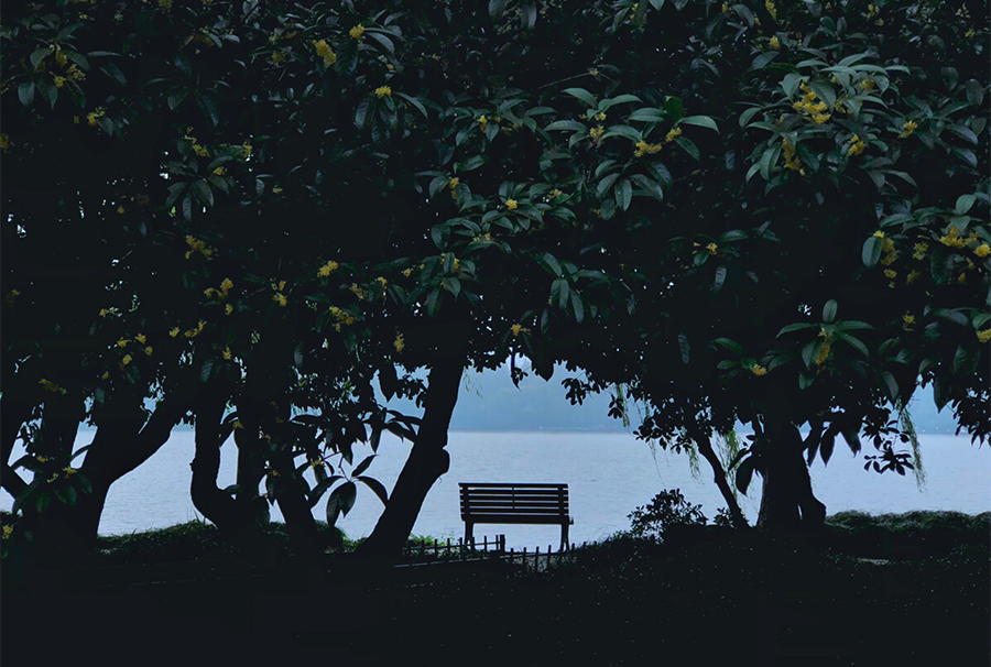 陶渊明|10副修身对联：心安由自足，身贵为无求