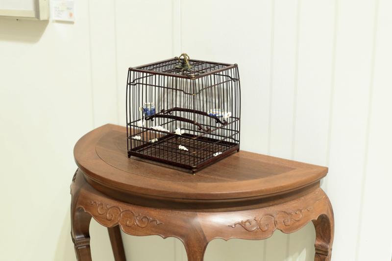 非遗|都是“尖货”：9件国家级、28件市级非遗展品亮相进博会新闻中心