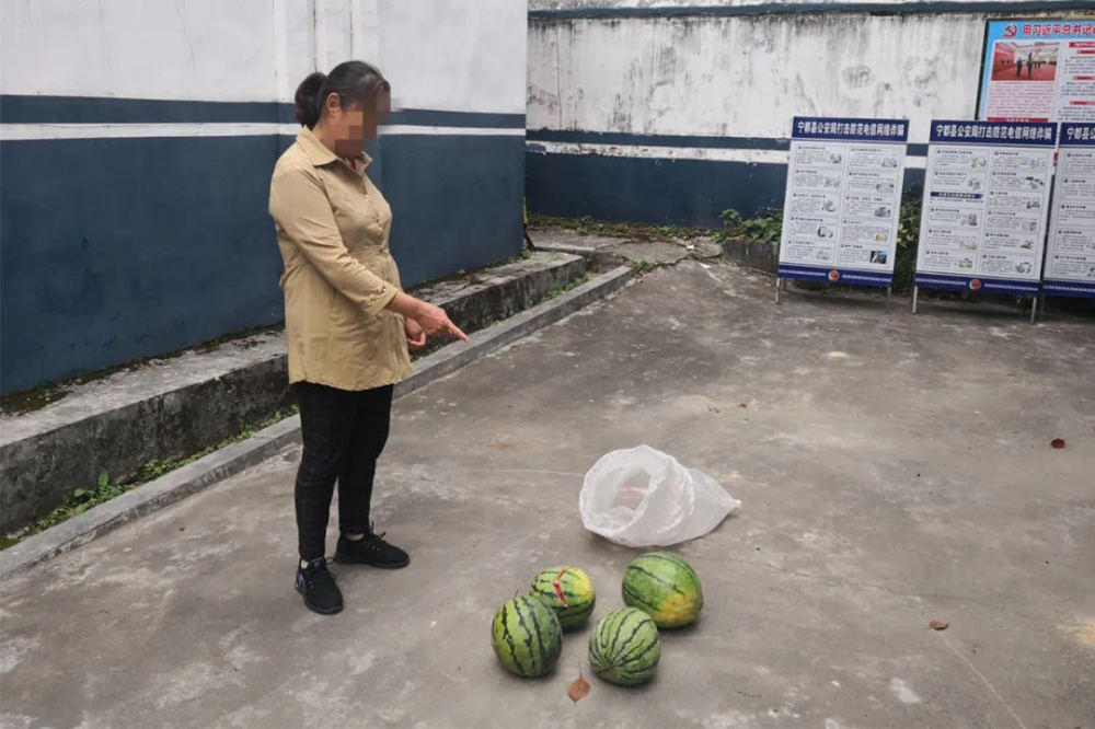 五旬女子嘴馋想吃瓜 教唆小孩钻西瓜棚偷瓜被拘留10日