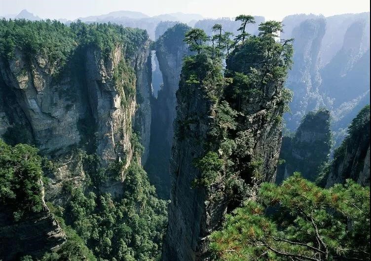 邵柏林|邵柏林：方寸邮票故事多