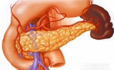 高脂血症|疑问：46岁教授死于高血脂，看似温和的高血脂为何会突然致命？