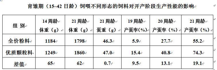 育雏后期饲料 您用对了吗 腾讯新闻