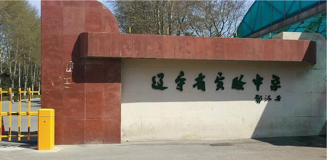二人转排行_东部排名:雄鹿猛龙二人转,3队争第三,这4队已无缘季后赛