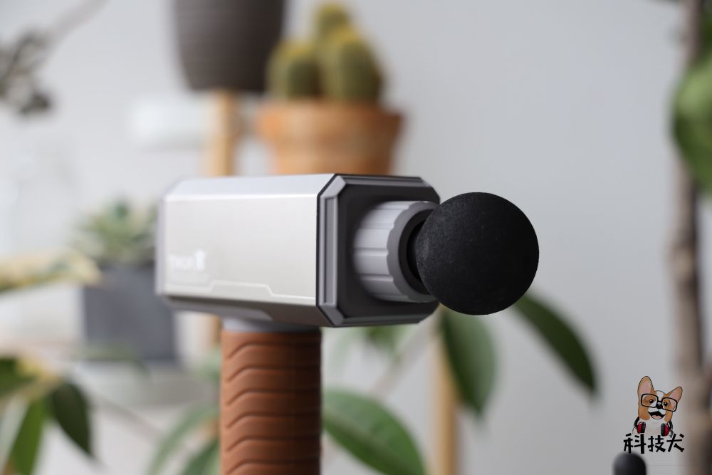 由60亿条肌纤维组成,其中最长的肌纤维达60厘米,最短的仅有1毫米左右