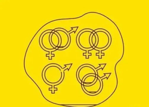 哈佛 性取向测试