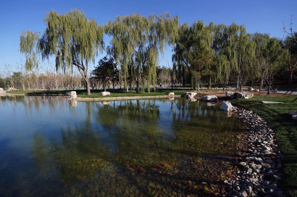 广渠路|连接中心城区与城市副中心，广渠路沿线又添“景观长卷”