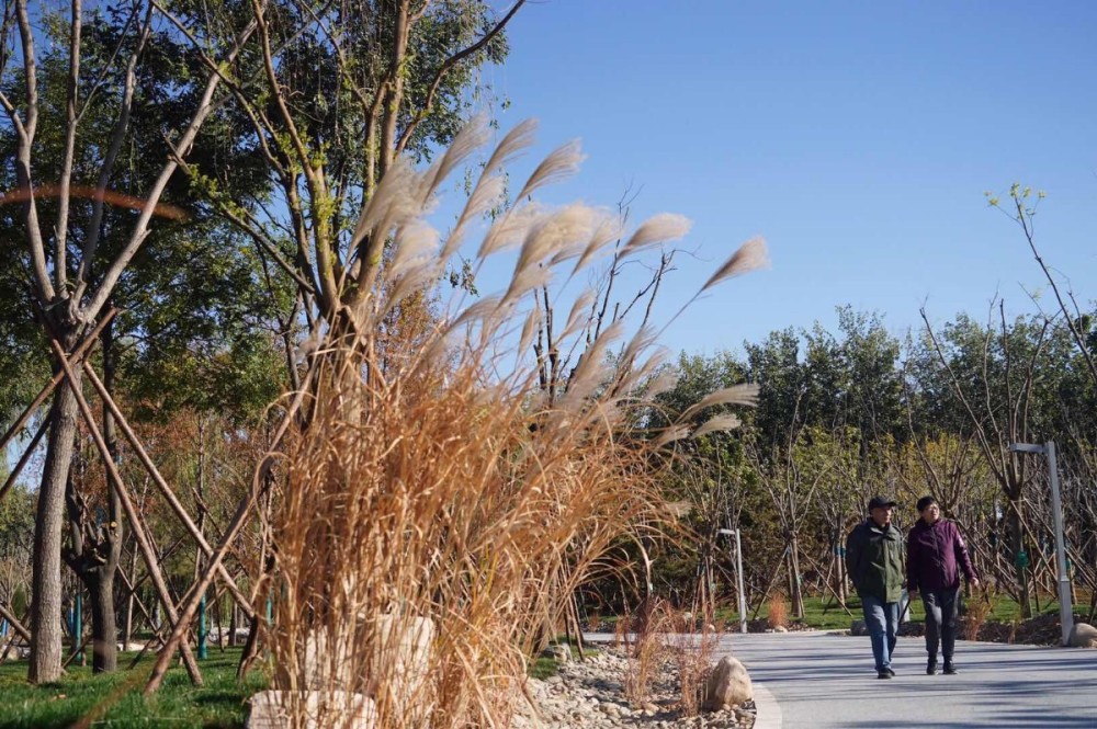 广渠路|连接中心城区与城市副中心，广渠路沿线又添“景观长卷”