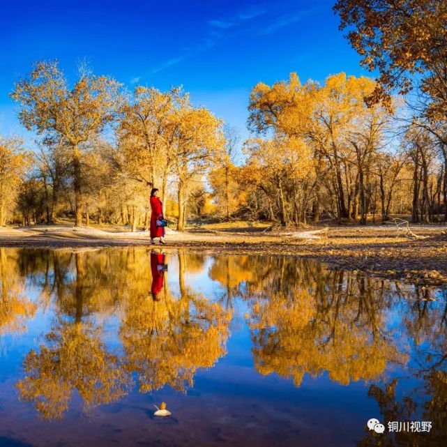 秋日里 美丽的新疆景色 腾讯网