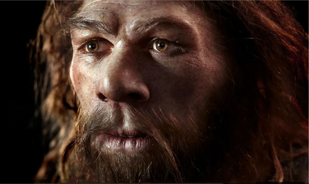 尼安德特人与现代人类之间战争的证据