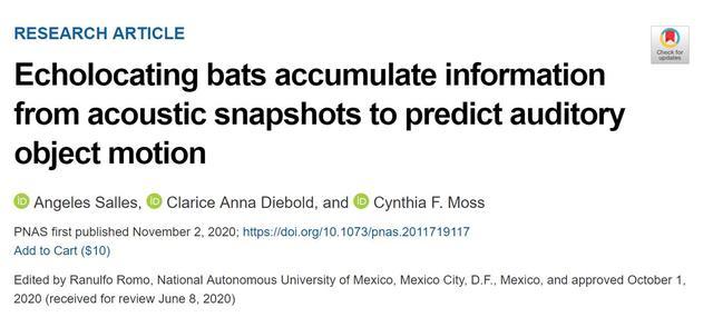 蝙蝠|研究发现：蝙蝠可以“预测未来”，这种生物的秘密太多了