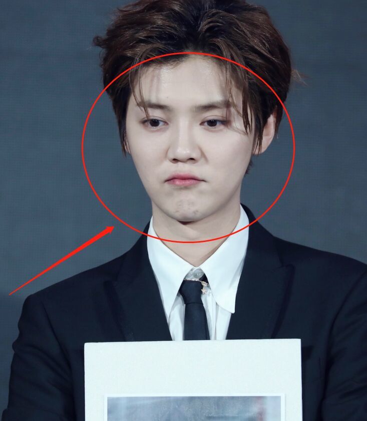 鹿晗出席新综发布会路人抓拍下的鼻子成亮点网友p都不敢这么p