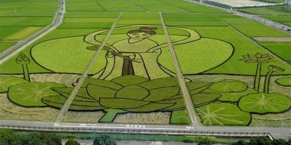 第六期 日本稻田艺术