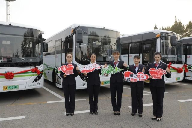 石梅线换新车啦!29辆纯电动公交车整装待发,抢先体验