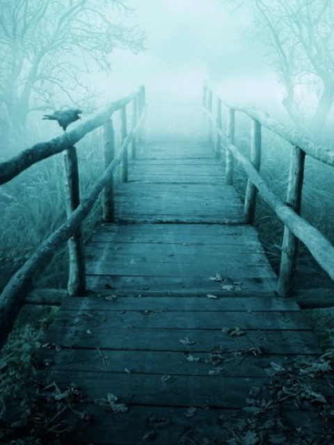 心理学测试:你认为哪个奈何桥最凄凉,测你内心深处最害怕什么!_腾讯新