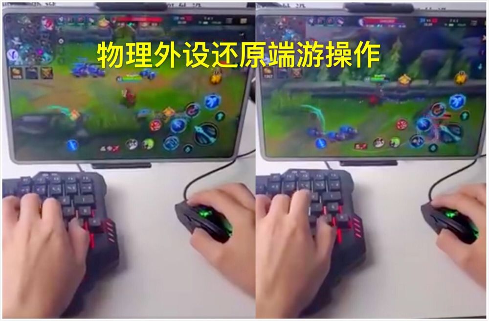 室内最有效的驱蚊方法【香肠派对透视怎么开启】