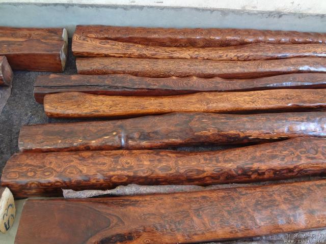 农村俗语 家有三木 胜过财宝一箱 哪三种木头 很值钱吗 腾讯新闻