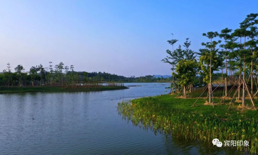 好美!宾阳城北湿地公园初见 有望成为市民"网红"打卡地(附规划视频