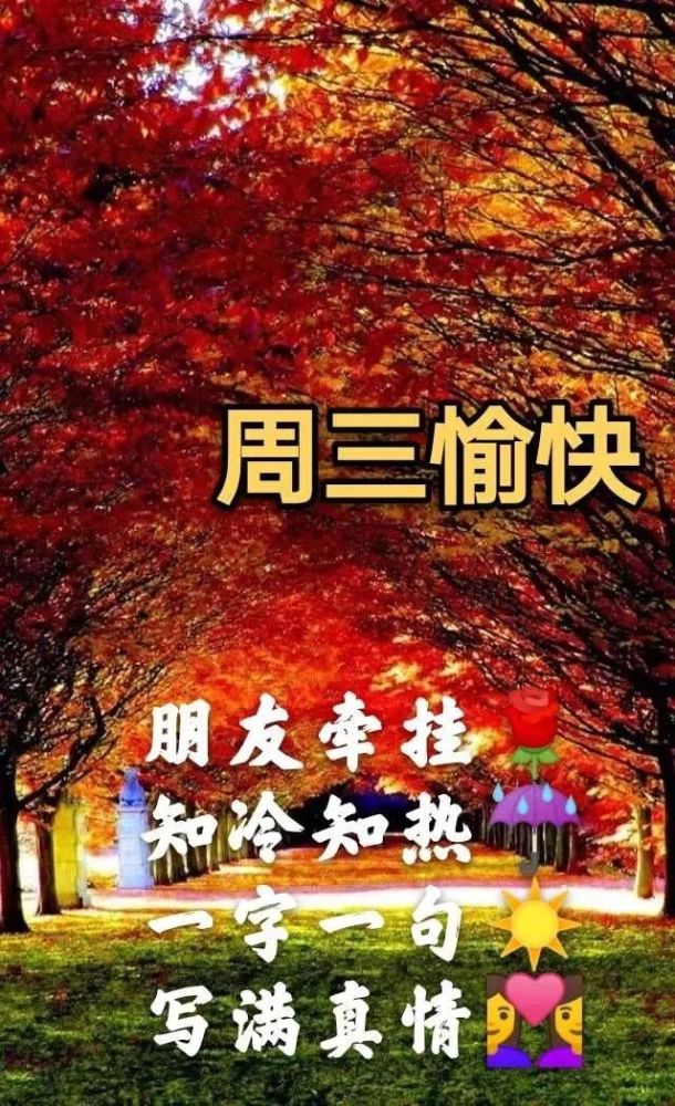 周三早上好问候祝福动态表情图片星期三早安加油