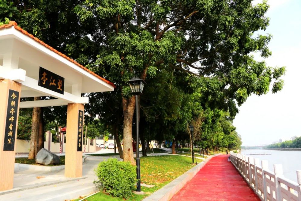 14个乡村振兴项目助罗村社区换新颜_腾讯新闻