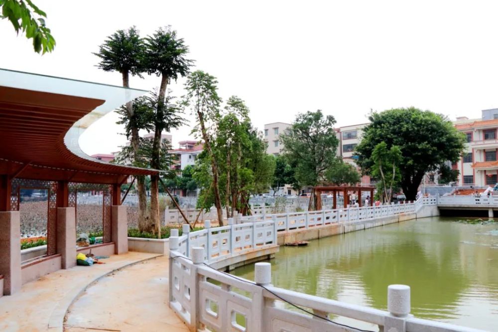 14个乡村振兴项目助罗村社区换新颜_腾讯新闻