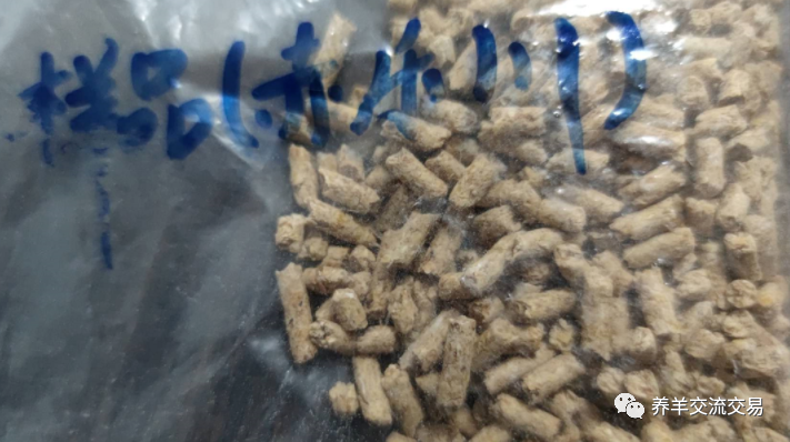 颗粒机|颗粒饲料喂羊省事、上膘快，成本会增加多少？划算吗？