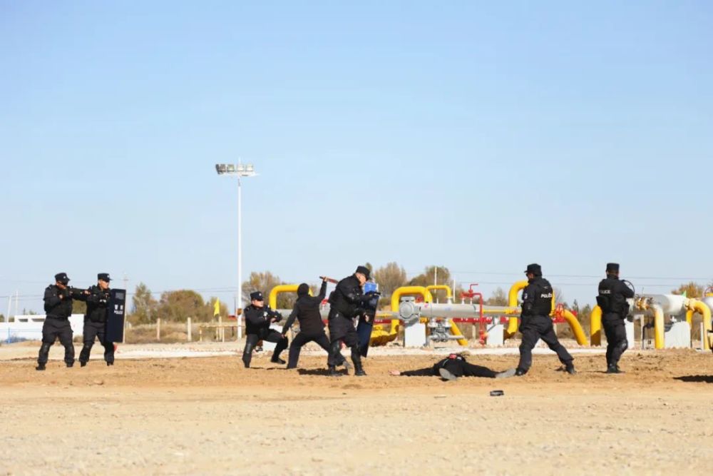 刑警,治安,派出所等八个警种部门开展了模拟警情处置拉动演练,为达到