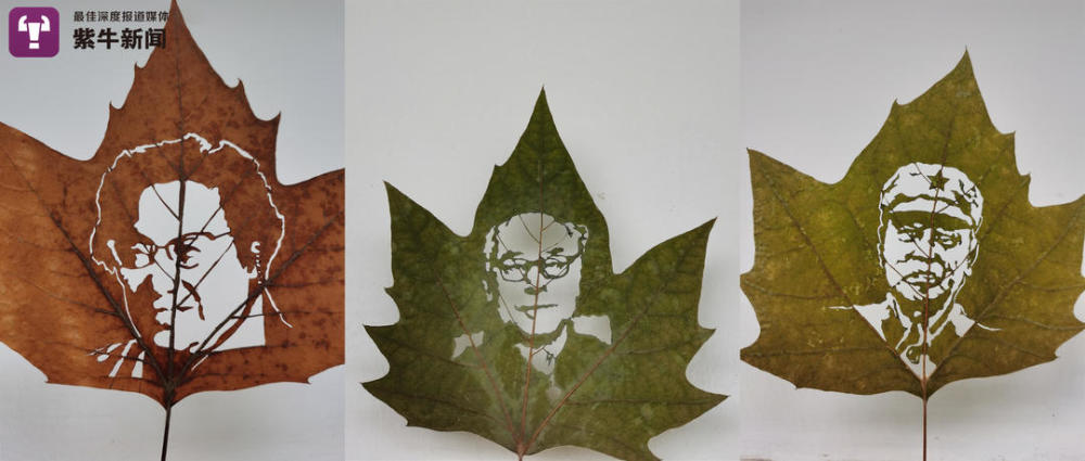 淮阴工学院|【紫牛头条】树叶上雕刻共和国勋章获得者的南京男孩，还曾因这事上热搜