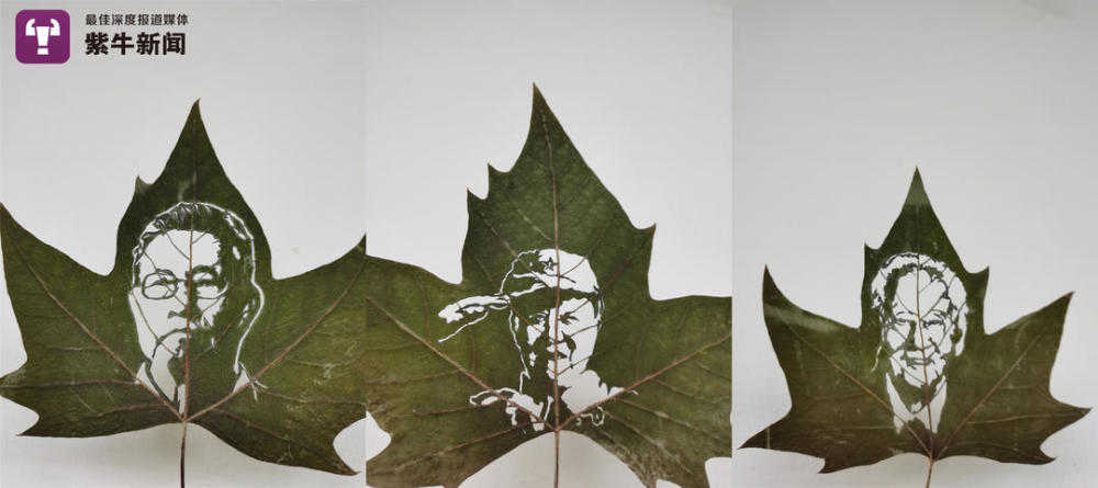 淮阴工学院|【紫牛头条】树叶上雕刻共和国勋章获得者的南京男孩，还曾因这事上热搜