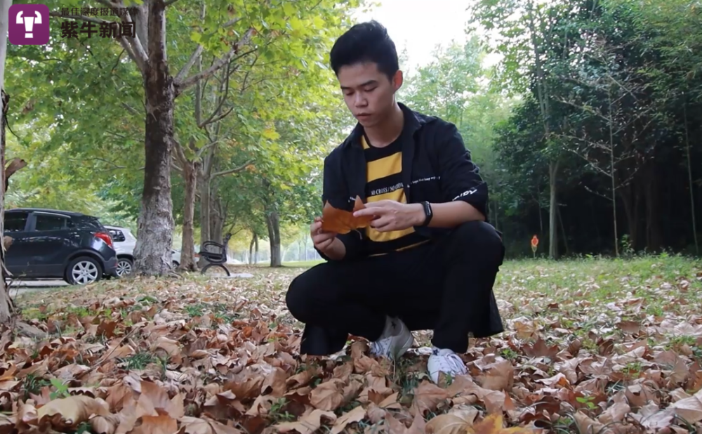 淮阴工学院|【紫牛头条】树叶上雕刻共和国勋章获得者的南京男孩，还曾因这事上热搜