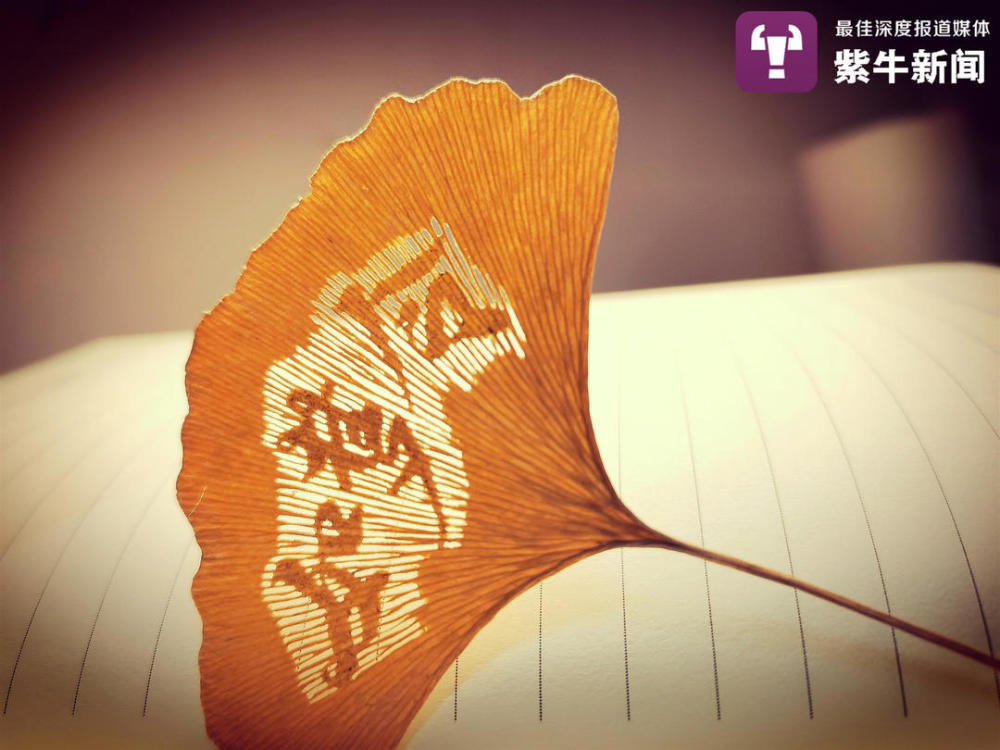 淮阴工学院|【紫牛头条】树叶上雕刻共和国勋章获得者的南京男孩，还曾因这事上热搜