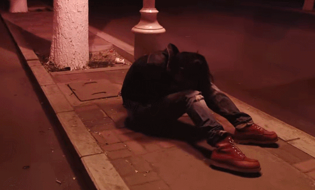 邢冬冬|毛骗|赵宁|黎伟|耿晓辉|邵庄