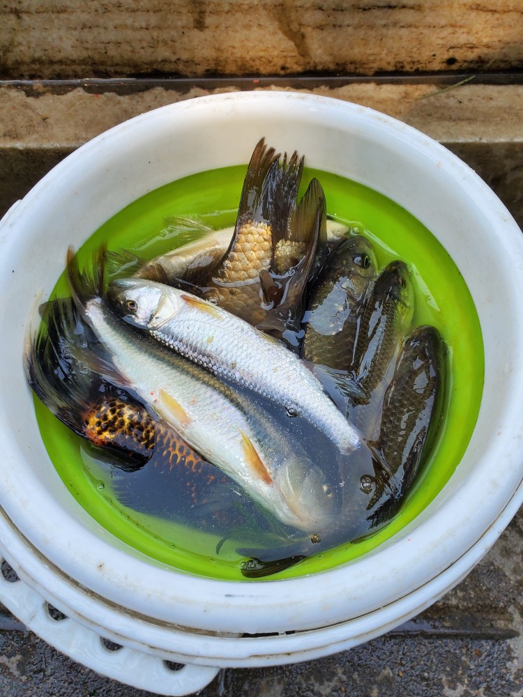 野钓|北京路亚野钓装备选择及城区钓点分享