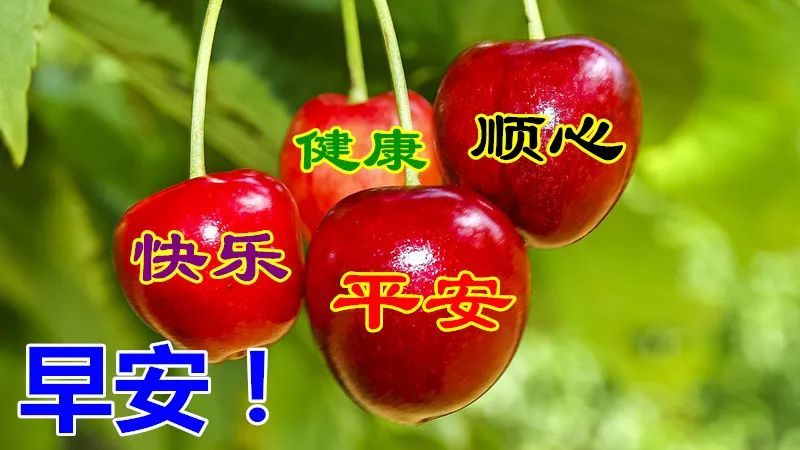 9月12日最漂亮早上好动态表情图片大全早晨好动图美图大全