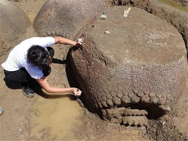 男子初以為是一顆恐龍蛋化石,後經過古生物專家鑑定,這是一塊8000年前