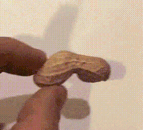 641